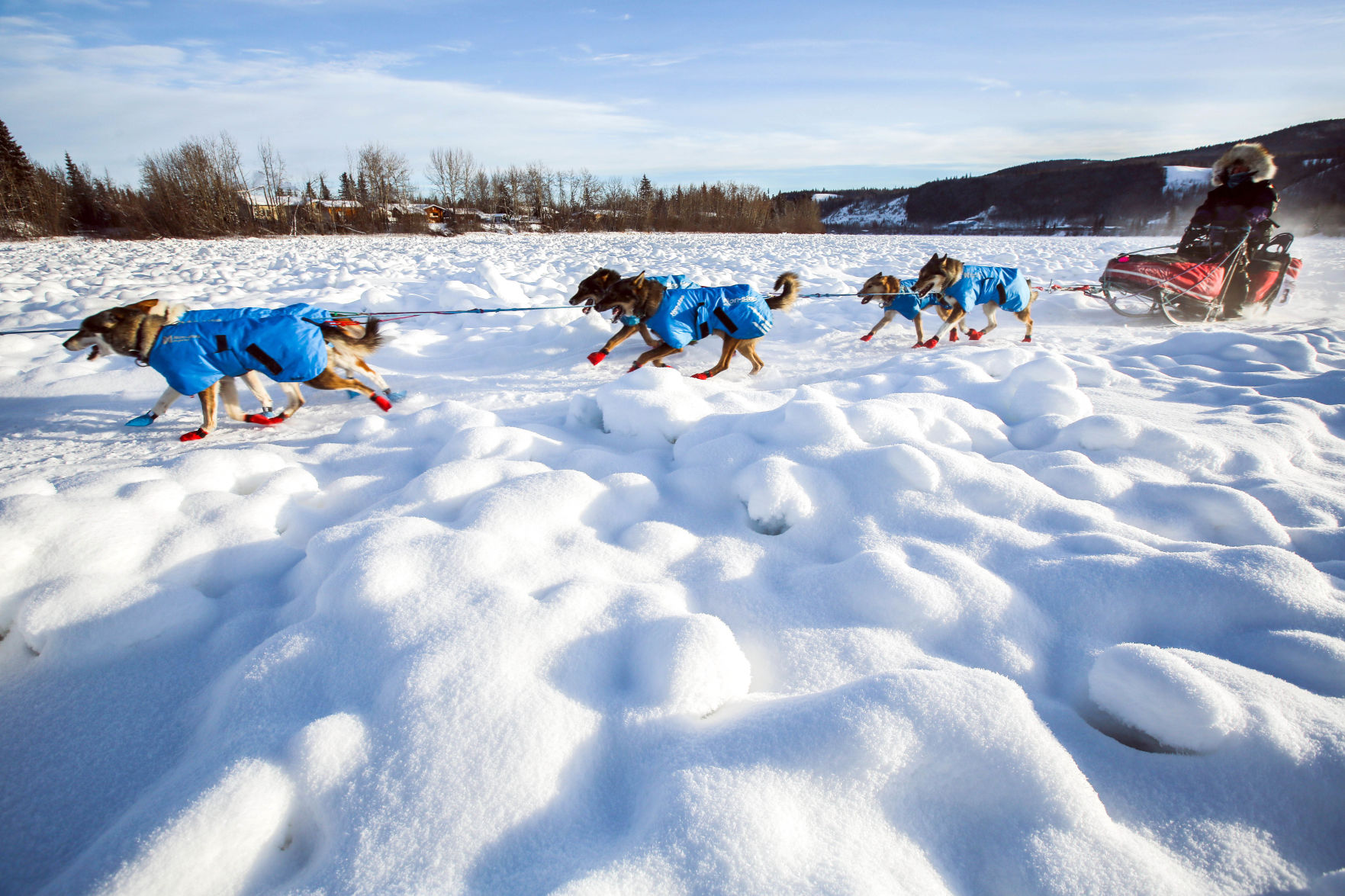 Yukon Quest - Carmacks